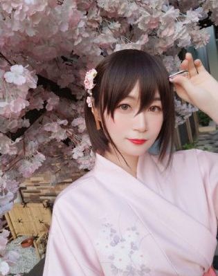 完美世界动漫在线观看免费完整版