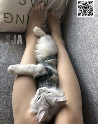 孽欲孤魂
