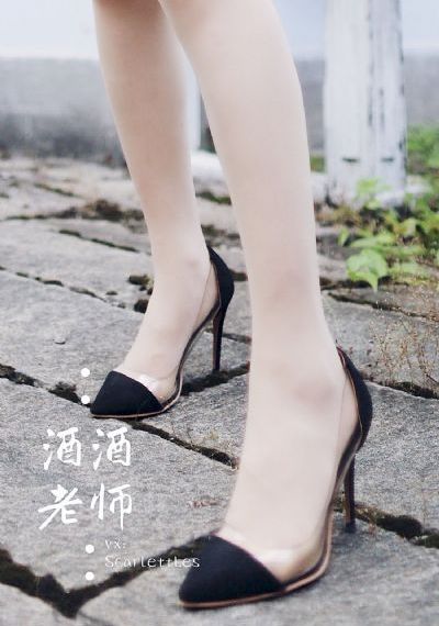 诚忠堂剧情介绍