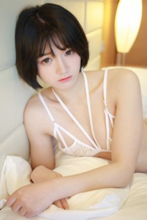 最新电视剧免费观看全集完整版