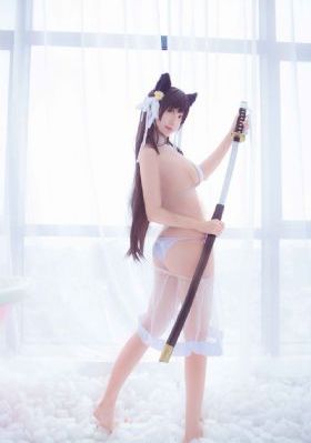 番茄视频免费